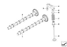 Timing and valve train-camshaft
