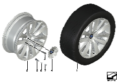 BMW LA wheel, double spoke 253